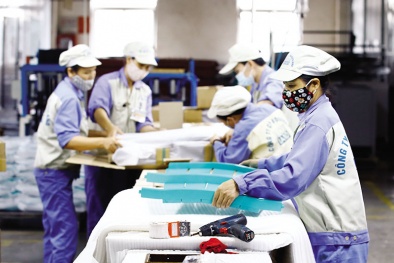 Nắm vững quy định về tiêu chuẩn kỹ thuật giúp doanh nghiệp đẩy mạnh xuất khẩu sang châu Mỹ