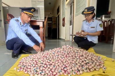 Xử phạt một doanh nghiệp tại Bắc Ninh do cố ý giao nhận hàng hóa nhập lậu