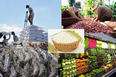 Thúc đẩy giao thương nông sản, thực phẩm giữa Việt Nam - Trung Quốc