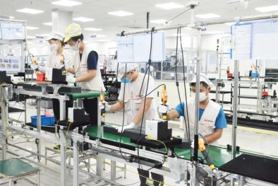 Chuyên gia chỉ ra lỗi khi doanh nghiệp áp dụng 5S nhưng chưa hiệu quả 