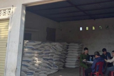 Phát hiện số lượng lớn đường cát nhập lậu tại Quảng Trị