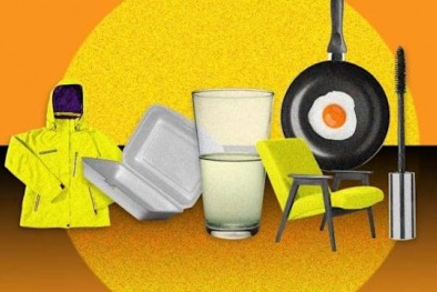 EU xem xét cấm các loại 'hóa chất vĩnh cửu' vì những tác hại của nó tới môi trường và sức khỏe