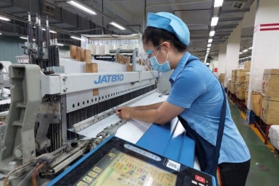 Các thị trường nhập khẩu ngày càng quan tâm đến yếu tố tăng trưởng xanh