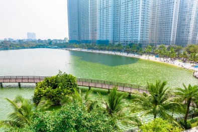 Thị trường ảm đạm, doanh nghiệp bất động sản loay hoay vượt khó