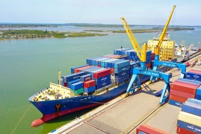 Lưu ý đối với doanh nghiệp về an toàn sản phẩm của EU