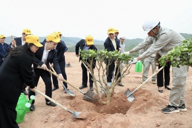 Phát động trồng cây phủ xanh 16 ha  dự án sân golf tại tỉnh Phú Thọ