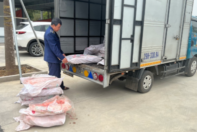 Tạm giữ 700 kg nầm lợn không rõ nguồn gốc xuất xứ