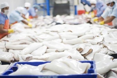 Xuất khẩu mực, bạch tuộc năm 2023 dự kiến tăng khoảng 15%