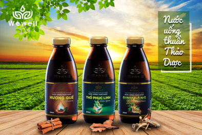 Công ty CP Dược liệu và Thực phẩm Việt Nam bị phạt thuế gần 780 triệu đồng