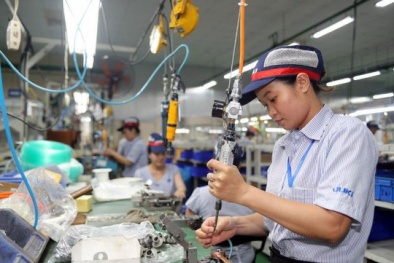 Đẩy mạnh nghiên cứu, chuyển giao và ứng dụng tiến bộ khoa học và công nghệ 