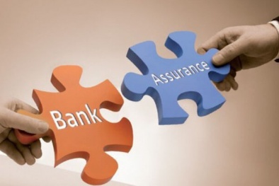 Bộ Tài chính đẩy mạnh công tác quản lý, giám sát hoạt động thị trường bảo hiểm