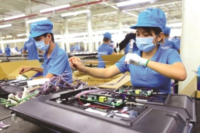 Cắt giảm, đơn giản hóa hàng nghìn quy định kinh doanh, tạo thuận lợi cho doanh nghiệp