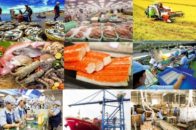 Tận dụng FTA, đa dạng hóa xuất khẩu sang các thị trường tiềm năng mới