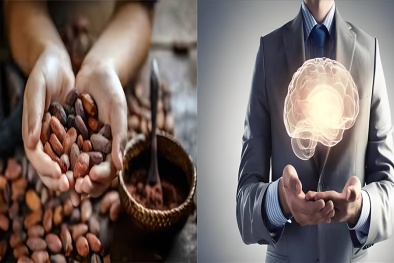 Lợi ích tuyệt vời của ca cao đối với sức khỏe trí não