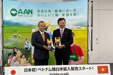 Nâng tầm giá trị hạt gạo Việt, đáp ứng tiêu chuẩn khắt khe các thị trường ‘khó tính’ 