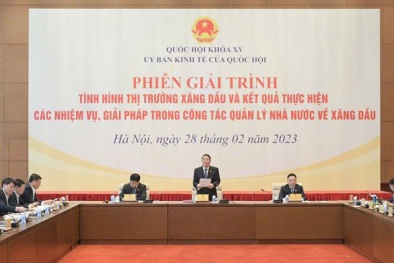 Tìm giải pháp cơ bản, toàn diện khắc phục tình hình thị trường xăng dầu bất ổn