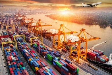 Cần xây dựng chính sách tiêu chuẩn logistics phù hợp quy tắc chuyển đổi số