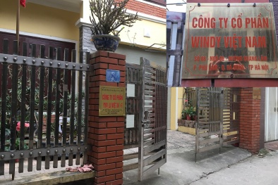 Công ty Cổ phần Windy Việt Nam không chứng nhận hợp quy sản phẩm theo QCVN 08:2020/BCT