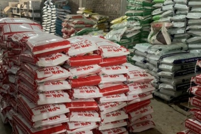 Phát hiện lượng lớn phân bón giả, kém chất lượng và những hệ lụy lâu dài cho ngành nông nghiệp