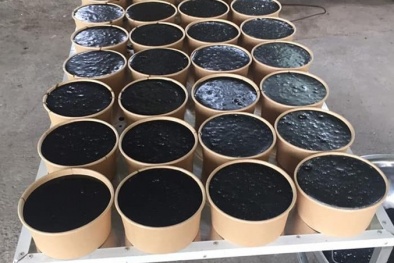 Thạch đen Lạng Sơn được bảo hộ chỉ dẫn địa lý