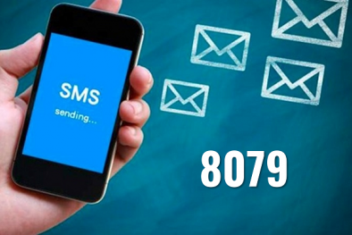 BHXH Việt Nam: Dừng triển khai tin nhắn tra cứu đến đầu số 8079