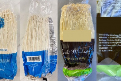 Mỹ thông báo thu hồi nấm kim châm có xuất xứ từ Đài Loan do nhiễm khuẩn Listeria