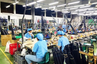 Đà Nẵng triển khai hoạt động Giải thưởng Chất lượng Quốc gia năm 2023 