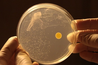 Sản xuất điện từ không khí loãng