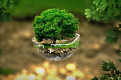 Hoàn thiện quy chuẩn kỹ thuật quốc gia về môi trường