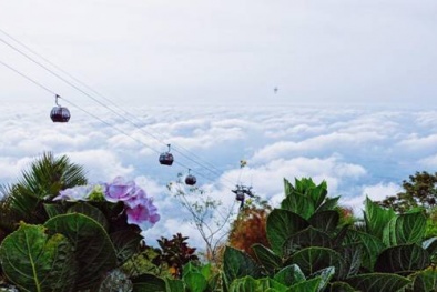 Giải mã sức hấp dẫn của du lịch Tây Ninh