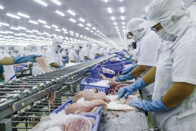 Xuất khẩu cá ngừ đông lạnh sang Nhật Bản tăng gấp 3 lần