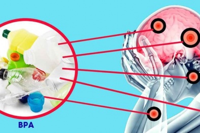 Khi mang bầu nếu mẹ tiếp xúc nhiều với hóa chất nhựa nguy cơ ảnh hưởng tới thần kinh trẻ