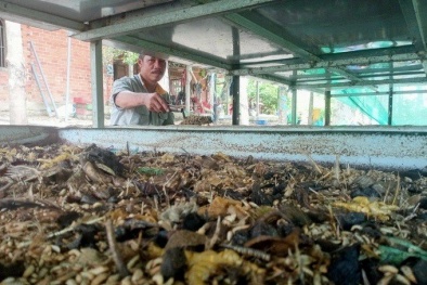 Xây dựng tiêu chuẩn hóa kinh tế tuần hoàn trong nông nghiệp - thúc đẩy tăng trưởng xanh