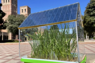 Tạo ra pin mặt trời từ vật liệu hữu cơ