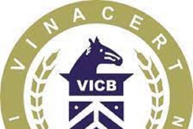 Vi phạm quy định chứng nhận, Công ty CP chứng nhận và giám định Vinacert bị phạt 35 triệu đồng