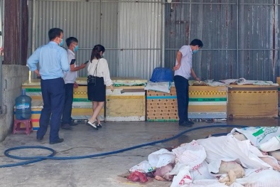 Khoảng 5 tấn thịt, nội tạng bốc mùi hôi thối được phát hiện tại một cơ sở giết mổ lợn