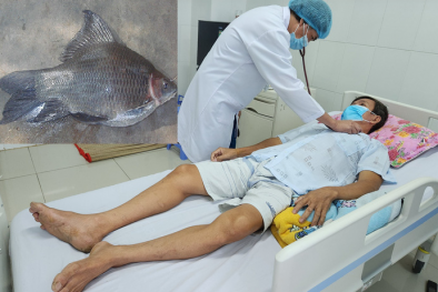 Mật cá éc có thể gây suy gan, suy thận tuyệt đối tránh dùng