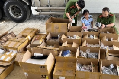 Tạm giữ một lô hàng vận chuyển trái phép trị giá 500 triệu đồng tại Bình Định