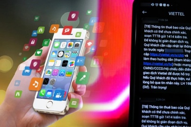 Người dùng có thể kiểm tra thông tin để tránh bị khóa thuê bao sau ngày 31/3