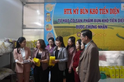 Tham quan mô hình phát triển kinh tế của hội viên phụ nữ vùng dân tộc thiểu số tại Thái Nguyên