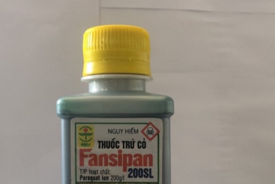 Cảnh báo: Ngộ độc, tổn thương thận và gan do thuốc diệt cỏ paraquat