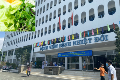 Nhập viện vì nhiễm sán lá gan do thói quen ăn rau sống thường xuyên