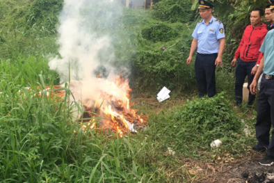 Nhiều hàng giả, hàng không rõ nguồn gốc bị phát hiện và tiêu hủy trong Quý I/2023