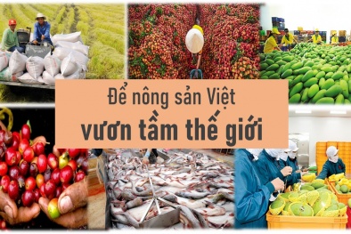 Chọn sản phẩm có lợi thế cạnh tranh, xây dựng thương hiệu quốc gia nâng tầm nông sản Việt