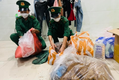 Triệt phá nơi sản xuất thảo mộc tẩm ma túy tại Đà Nẵng