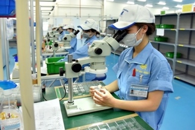 Nền kinh tế Việt Nam thu hút mạnh mẽ dòng vốn nước ngoài (FDI)
