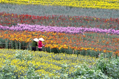 Thách thức phát triển nông nghiệp những tháng đầu năm