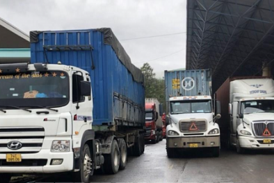 Hải Dương thu hồi giấy phép, dừng toàn bộ hoạt động của 4 doanh nghiệp vận tải