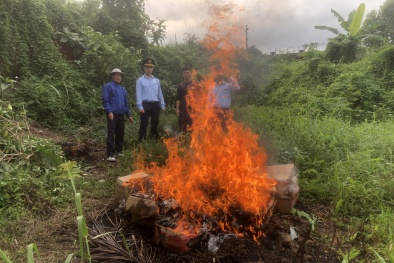 Quảng Ninh phát hiện và tiêu hủy lượng lớn hàng hóa nhập lậu, giả mạo nhãn hiệu
