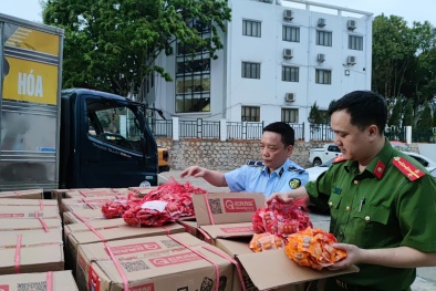 Thu giữ lượng lớn đồ chơi trẻ em nhập lậu